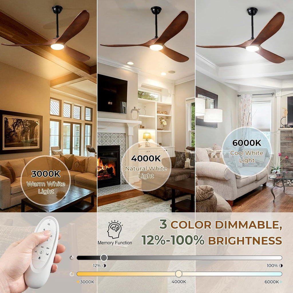 Ventilateur de plafond et éclairage LED intégré