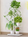 Plant Stands as Sculptures of Greenery-2